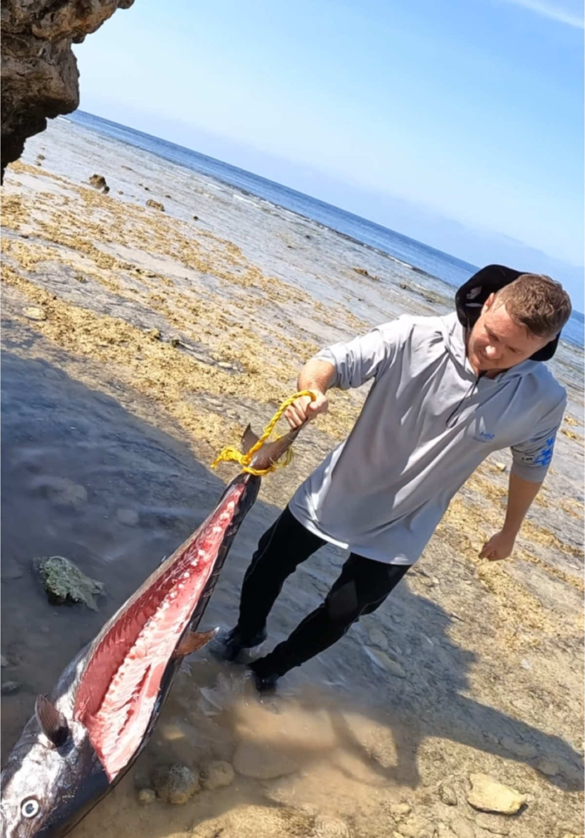 Biggest Dog-Tooth at Redsea Saudi Arabia - FULL VIDEO!  It was my biggest doggy 27kg from the Redsea’s onshore. I was using @cavyfishing stickbait 100g to sink it at depth around110m by the reef and caught the fish at around 20-30m 💪🔥.  Gear Setup: Rod: Zenaq Accura HHH Reel: Twin Power 14000XG @shimanofishing_jp  Line: @momoi_fishing braided line 92lb Leader: @varivas_japan 150lb Lure: @cavy_brand purple sinking stickbait #coast_angler  #dont_kill_your_fun  #catchandrelease  #rebuildthefuture #shimanofishing  #zenaq  #bkk @bkk_arabia @zenaq  #fishing #fishingtrips #fishinglife #nature #animal #shorefishing #redsea #saudiarabia 