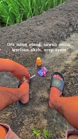 Ws koyok pensiunan😁 #fyp#foryoupage#4u#xybca 