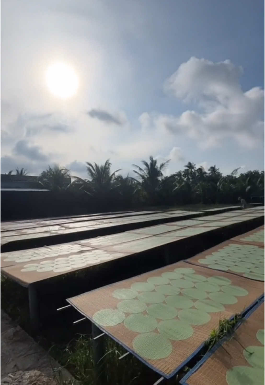 Bánh phồng mì mời mn ăn thử nha #banhphongxuantham #banhphongsua #dacsanbentre #bentre71🌴🥥 