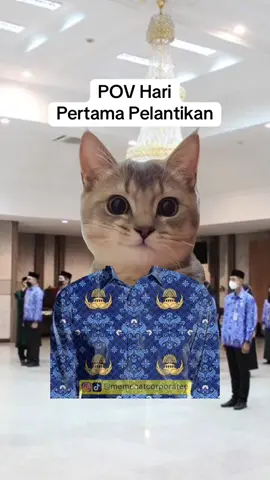 semakin dewasa, semakin sadar kalau PNS adalah pekerjaan paling realistis saat ini🙀 #corporatelife #memecat #cpns #cpns2024 
