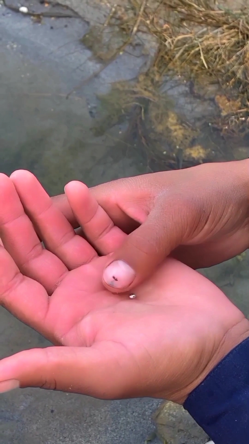 Gold mining indus river | gold finding #Vlog #short #capcut_edit #usa_tiktok #ukacount #hazro #farmerlife #attock @Imran khan 