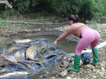 这里会有大鱼吗🐠