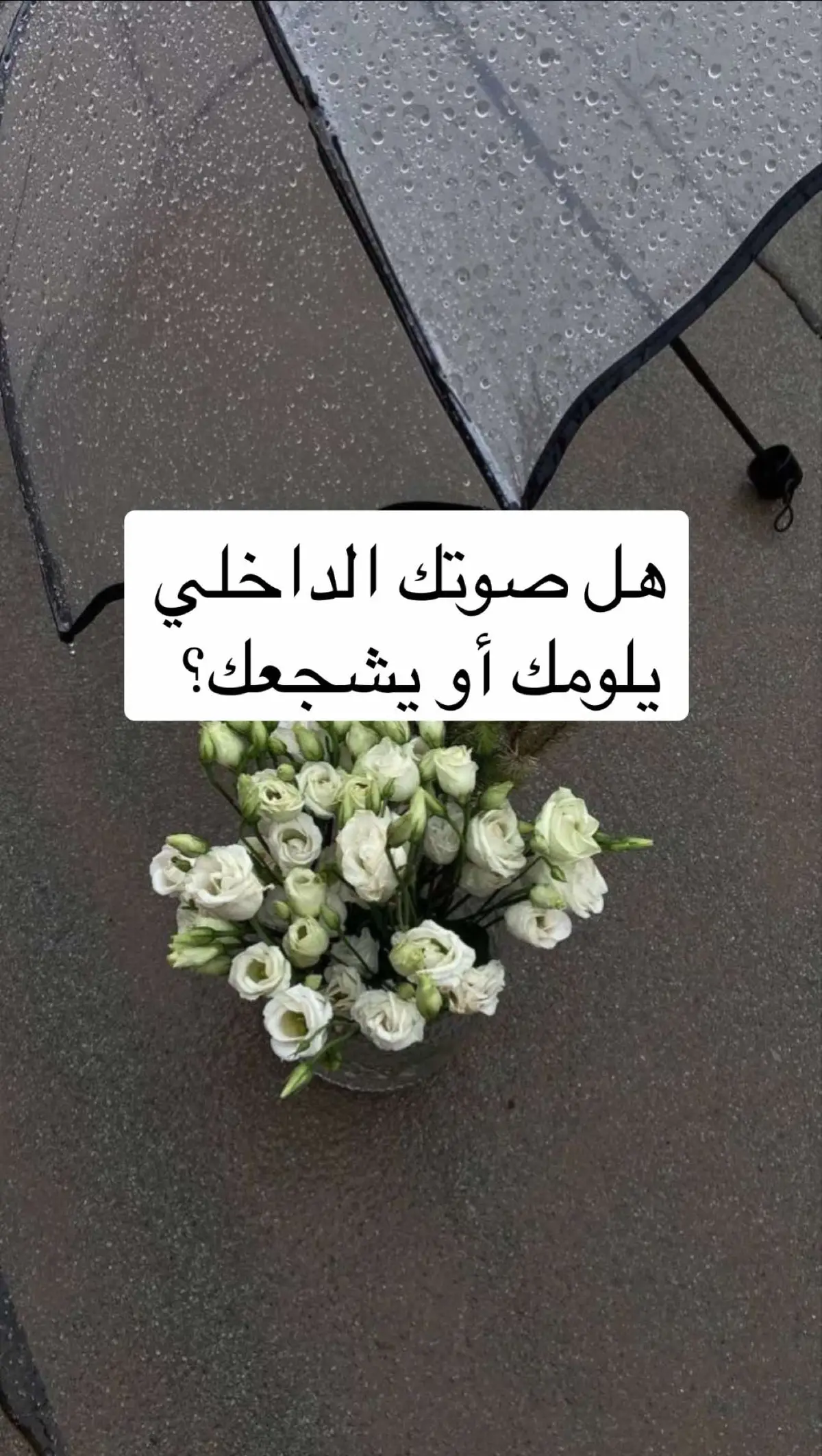 هل صوتك الداخلي يساندك ولا يضغط عليك؟ اليوم بنلعب لعبة ممتعة تخليك تفرق بين الصوت اللي يرفعك والصوت اللي يثقل عليك ، تمرين بسيط ومبتكر بيغير طريقتك في التعامل مع نفسك! #يَقْظة #yaqhada #creatorsearchinsights #تدوين #اكتشاف_الذات #تنظيم_المشاعر #رحلة #كتب #كتابة #قصة #علم_نفس #مفكرة #تطوير_الشخصية 
