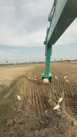 #ตอง_แม็คโคร #KOBELCO #SK135 🤫