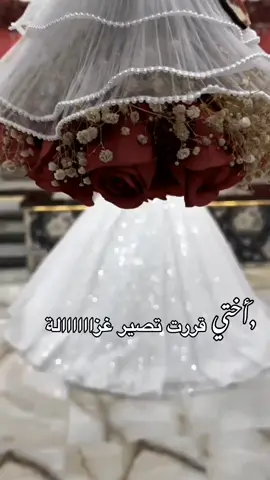 #CapCut #ستوري #اكسبلور #عروس #اخت #اختي_عروس #اخت_العروس #العروس_غزاله #تابعوني #تاغ #منشنوها 