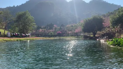 Ê bị xinh, nó Châu Âu mà nó Tây Bắc Việt Nam 🇻🇳 