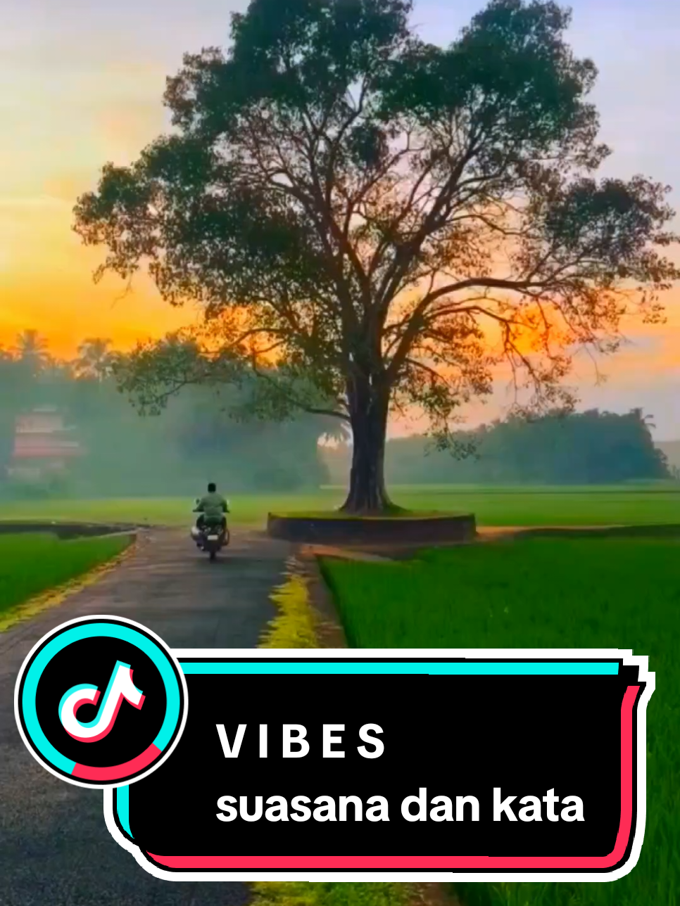 Sekarang Gimana Baiknya Tuhan Saja, Karna Kapasitas Kita Sebagai Manusia Banyak Terbatasnya..😌 #vibes #nature #vibesnature #keindahanalam #pemandanganalam #morningvibes #suasanapagi #pedesaan #kampunghalaman #quotes #katakata #katabijak #katakatamotivasi #puitis #tenvibestory 