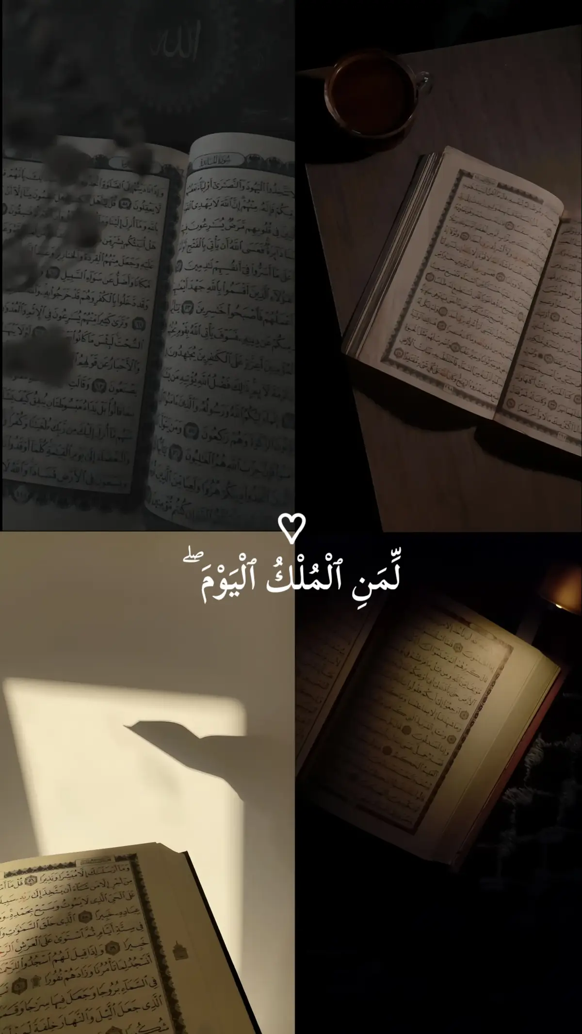 تلاوة خاشعة للقارئ عبدالعزيز سحيم 🖤  سورة: غافر 🖤 #قران #عبدالعزيز_سحيم #قران_كريم #سورة_غافر #quran 