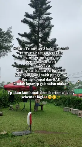 Keluh kesah bumil TM 3 🥹😭 ada yang sama gak? #fyp #baby #bayi #bumil #bumilcantik #pregnant #trimester3 