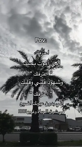 #اعترفلك #ابو #نوره #ابعترف #اني #اموت #بحبها #pov #vip 