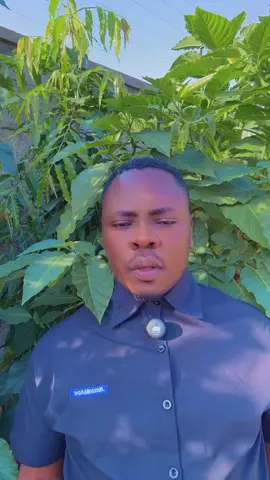 #newtiktokersupporters #newtiktoker #today #tomorrow #kampala_tiktokers #uganda #fffffffffffyyyyyyyyyyypppppppppppp #treanding  @Zayrababy2💙🦋  @MIKIE WINE  @taatakimbowa.dance 
