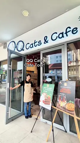First time visiting QQ Cats? Watch this cafe tour to find out more! #sgcats #sgpets #sgcafes #sgcafe #sgfoodie #singapore #catcafe #sgtiktok #sgfyp #sg 