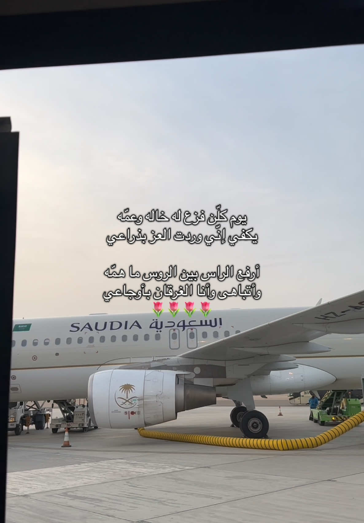 طبعه يعشق القمّة🌷 #fyp #الانتشار_السريع #explore 