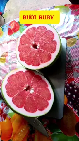 Bưởi ruby ruột đỏ #SamTetBaoVui #TiktokShopTet #xuhuong