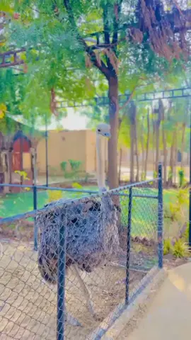 ❤️#karachi #zaberafam #balochistan #sindh 