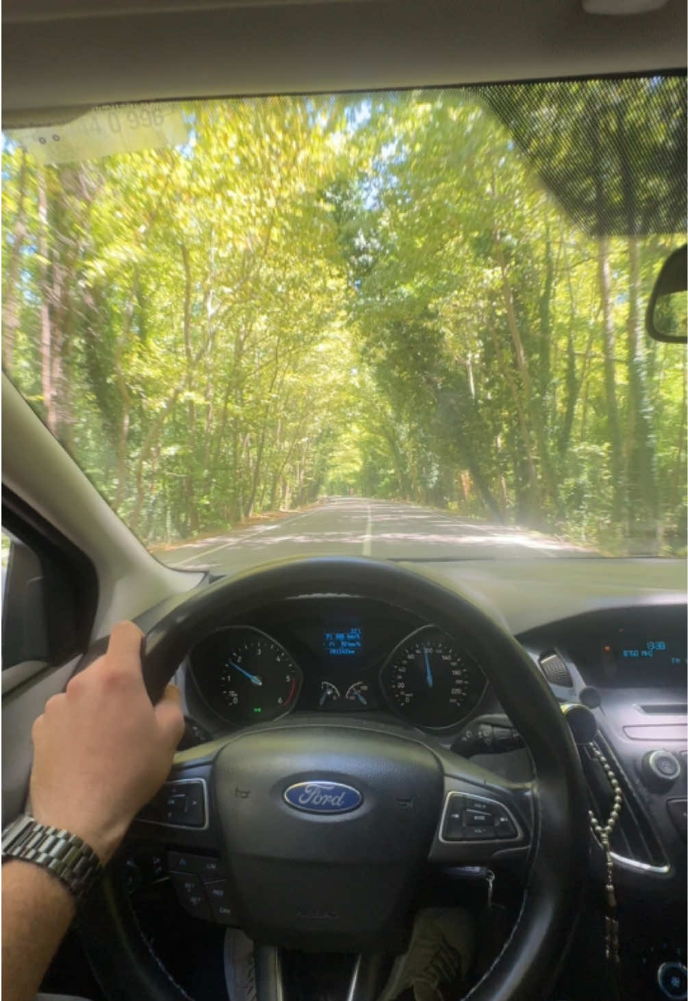 Karabük ağaç tüneli #karabük #ağaçtüneli #karabük78 #karabüksafranbolu #yol #yolculuk #fordfocus #yolculukstoryleri #fordfocusrsmk3 #manzara #keşfet #keşfetteyizzz #keşfetbeniöneçıkar #karadeniz 