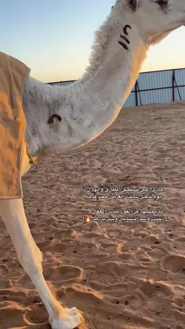 #الادمشيب_عتيبه_الهيلا #الوضحا_الشناح #الهاشتاقات_للشيوخ #الشيابين_الدهاه #عتيبه_الهيلا #الشيابين 