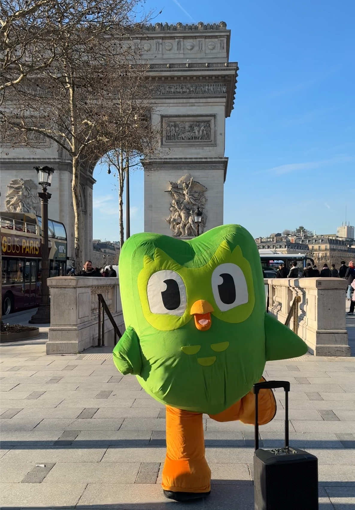 @emmi pea sigma sigma boy #pourtoi #sigmaboy #duolingo 