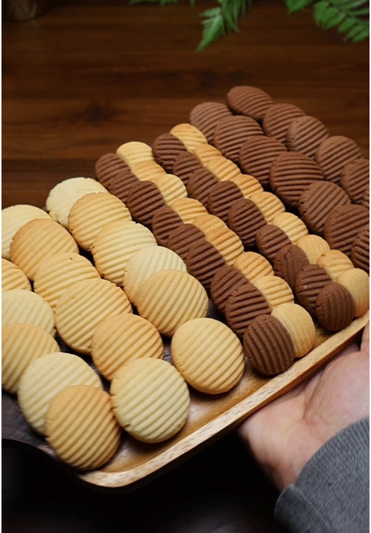 بسكوت الخلاط السريع ف عشر دقايق ٥٠ بسكوته بمكونات اقتصادية فكل بيت !!#بسكوت 