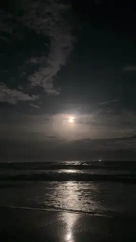 Asmr Âm Thanh Sóng biển dưới ánh trăng tròn soi sáng cả một vùng trời đêm đen !!!  Seawave under the full moonlight . Shine a hole dark Jungle Places !  #Breadprnicess #Mylovelylife #Seasound #Moonlight #Fullmoon 
