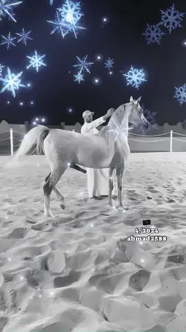 Horse in meeting mood!#foryou #viral #trending #ticktokgirl #viral #breeding #women #girl #horse #horseriding #horsewithgirl #trendingvideo #trendingticktok #horsemeeting #FYP #Viral #Trending #ForYou #TikTokMadeMeBuyIt #Duet #Challenge #LearnOnTikTok #POV #Dance #Comedy #GlowUp #OOTD #FoodTok #PetTok #TikTokChallenge #TikTokTrend #ViralVideos #Inspiration #Music #HorseAndDonkey #HorseDonkeyMeet #DonkeyAndHorse #EquineMeet #AnimalMeetup #HorseDonkeyFriendship #DonkeyMeetsHorse #HorseAndDonkeyLove #HorseDonkeyBuddies #EquineEncounters #HorsesAndDonkeys #FarmAnimals #AnimalTok #EquineTok #FarmLife #DonkeyTok #DonkeysOfTikTok #DonkeyLove #DonkeyLife #CuteDonkeys #MiniDonkey #DonkeyFarm #DonkeyAdventures #DonkeyRescue #DonkeyKisses #HorseTok #HorsesOfTikTok #EquestrianLife #HorseLover #HorseRiding #PoniesOfTikTok #Dressage #Galloping #WildHorses #HorsesAreLife #Breedinghorseforyouvairal#growmyaccountforyouvairaltop#unfreezemyacountforyouvairal#Meeting#Horse#Animal#Breeds#Bull#Buffalo#Mandi#HorseBull#MaweshiMandi#MurrahHorse#BullHorse#HorseMandi#MurrahHorseForSal#Maharashtra#MurrahHorseFarming#Pakistan#MurrahHorseSale#Punjab#MurrahHorseMating#HorseSoldier#MurrahBreed#BeautifulHorse#ChampionMurrahHorse#BigHorse#HorseVideos#AnimalCart#HorseBirth#animals #Horsemating804 #horsecrossmatingdonkey #horsemeeting985 #donkeyhorsemating #supermurahorsematingfirsttimedonkeyunfreezeviralmytiktokaccount #donkeyhorsefullhotmeeting#foryou #viral #horse #foryoupage #viral_video #statusfullscreen #trending