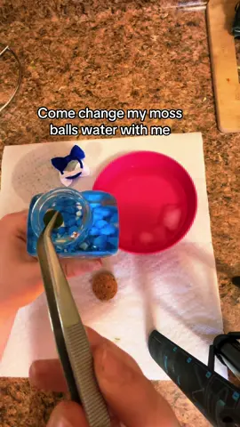 Get one down below! Also I need a manicure omg #mossball #shopping #tiktokshop #fyp 