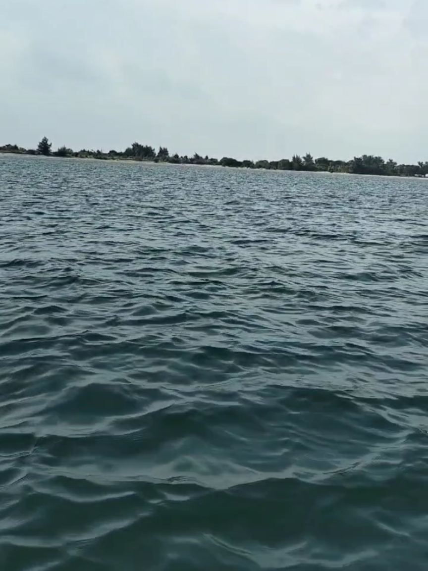 #citat #citation #sea #more #trees #stromy #life #zivot #water #voda #boat #lod #trend #trending #motivation #motivace #motivacejedulezita #fyp #foryou #fy #foryoupage #protebe #Relationship #vztah #life #zivot #sunnyday #slunecnyden #Summer #leto #nature #priroda 