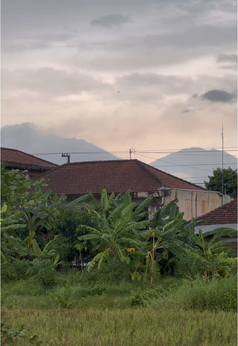 Ngene wae wes sip tenan #smsmotorklaten 