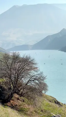 هەڵبژاردنێکی هەڵە باجەکەی تەمەنێکە 🖤!#foryou #halabja #سیروان #slemani #sharazur #foryoupage #شارەزور #khurmal 