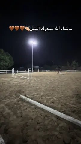 #fyp #explore #خيل_وخياله🐎 #اكسبلور #فروسية #قفز_حواجز 