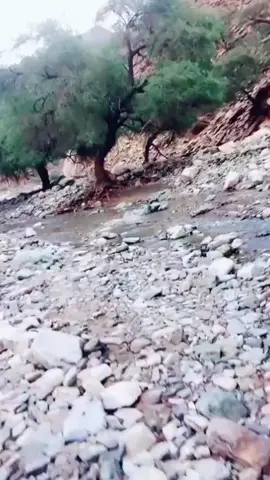 #الشتاء🎻🎼 #اكسبلور#الديره #الليث #السعوديه #الليث 