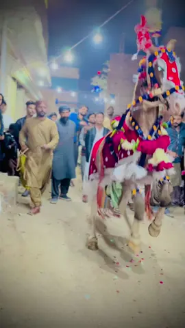 Zargham badshah ji put mashallah mola salamt rakhy 🧿❤️#zuljhna #ماشااللّٰہ #foryou #zuljhna #foryou 