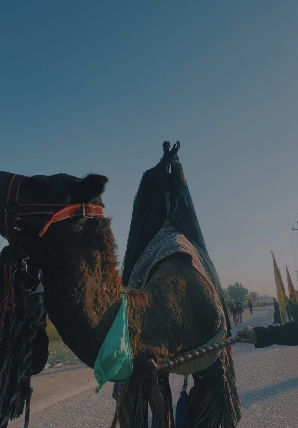 #المصور_علي_كامل #كرار_العبادي #حسين_اهات #اجود_الكعبي #علي_التواب #زينب #سوك_الشيوخ #الناصريه #البصره #بغداد #الحسين #اكسبلور #العباس 