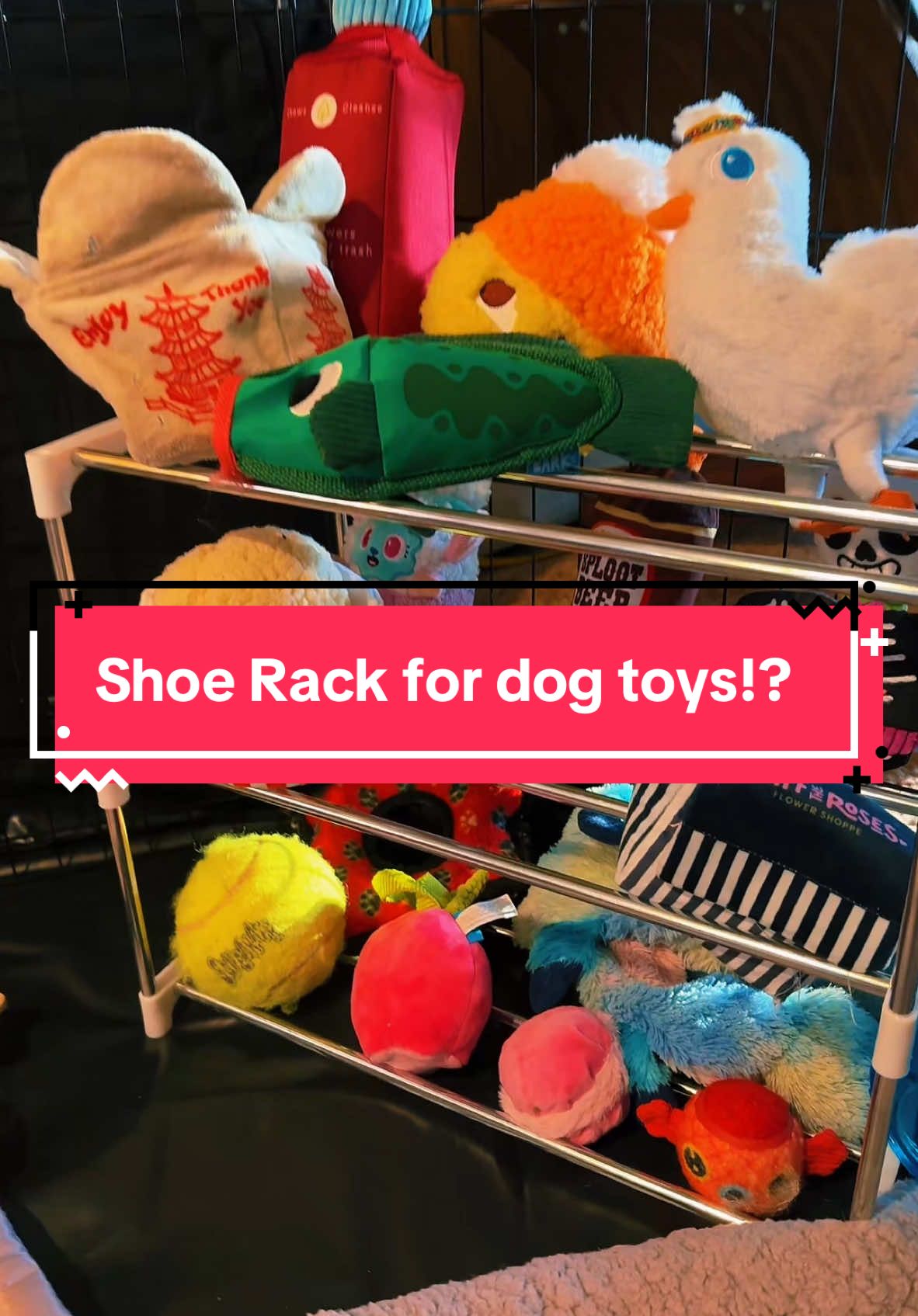 Plus this is a much cheaper option then getting a bin for dog toys! #dogtoystorage #kidstoystorage #fyp #forgoupage #fy #foryoupage❤️❤️ #relatable #viral #puppymusthaves #dogmusthaves #puppy #puppytiktok #petparent #furbaby #dogtoy #dogtoys #shoerack #collegemusthaves 