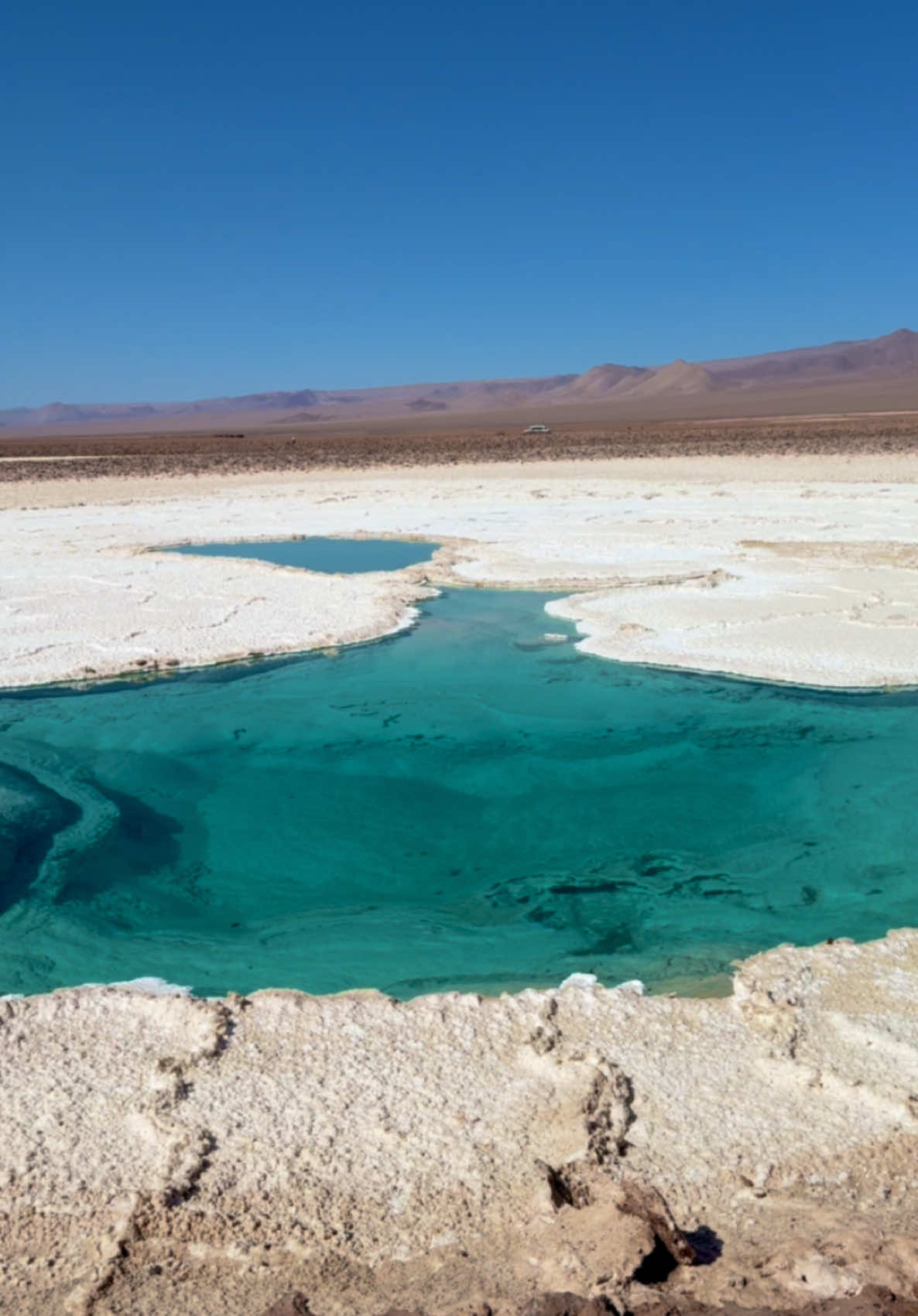 No meio do deserto. Parece uma miragem 😂 #lagunas #atacama #deserto #chile #baltinache #lagunasescondidas 