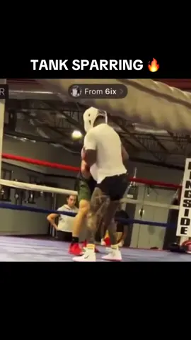 The guy sparring Tank is bigger than him too 👀🔥 (h/t greatestboxing_/IG) #gervontadavis #tankdavis #boxing 