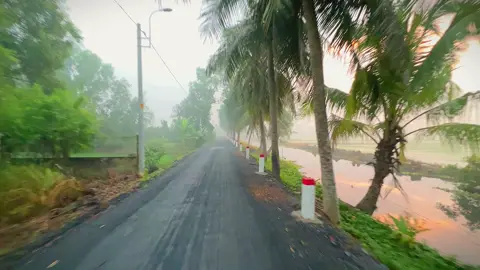 Bình Chánh đón không khí cận tết nè anh em 😊🤭 #xuhuongtiktok #videocảnhđẹpchill #chill #bìnhchánh #fyp 