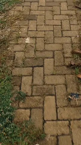 bahagia itu kita yang ciptakan semangat pagi.. #storywa #jogging #CapCut 