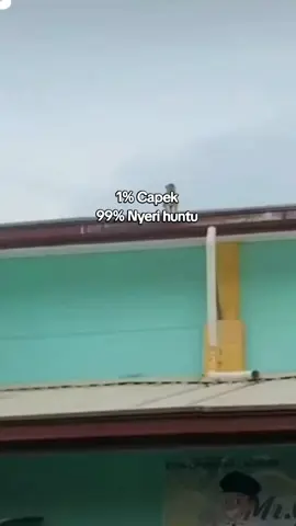 Ripuh ketua di bere nyeri huntu mah🤧 #fyp #fyptiktokviral #storytiktok #storywa #storyaesthetic #storysunda #sundapride #ngacapruk #xyzabc #xybca 