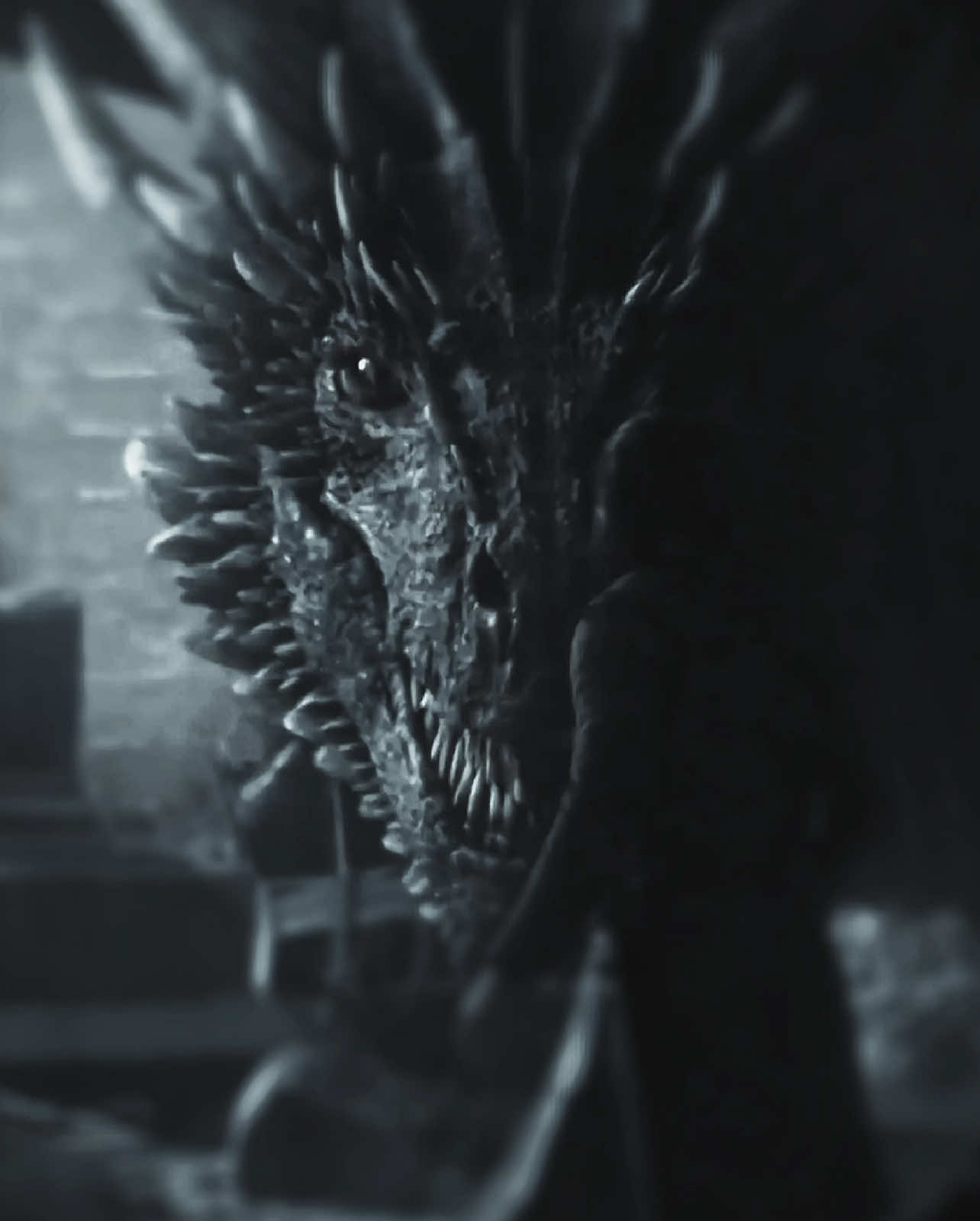 #DROGON • the winged shadow is such a cold name // scps: wondercanary.scp #got #gameofthrones #gotedit #gameofthronesedit #drogonedit #dragonedit #fyp #foryoupage 