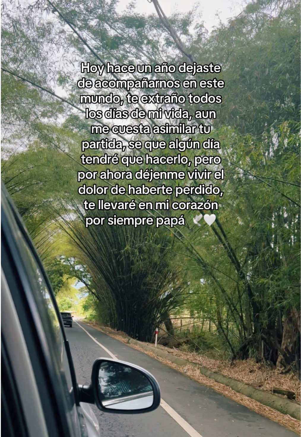 #14012024 #14012025 #unaño #partida #duelo #papa #paramipapa #teextraño ❤️‍🩹