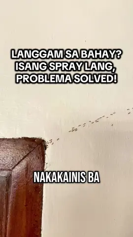 Pagod ka na bang labanan ang mga langgam sa bahay? 🐜❌ Isang spray lang gamit ang Ant Killer Spray, malinis at safe na agad ang paligid mo! 💯🔥✨ #AntKillerSpray #homeessentials #flykiller #insectskillerspray #repellentspray 