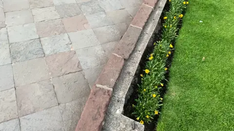 #camara#google#pixel6pro #fyppppppppppppppppppppppp 