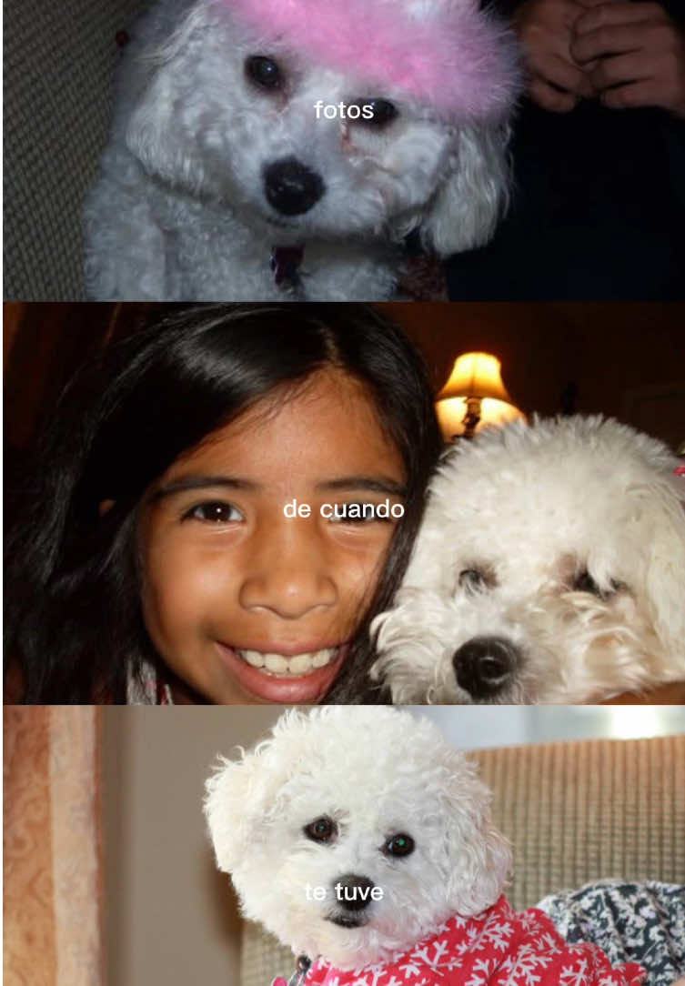 #CapCut #dtmf #fyp 💔my sweet girl 