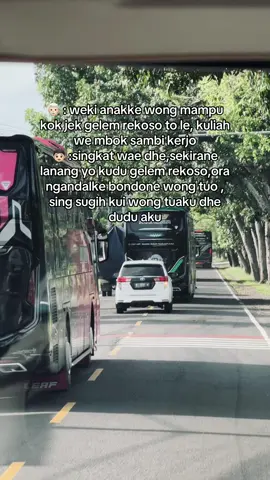 kodratte wong lanang kui kudu gelem rekoso😇 #ndntrans #balinesia #dokumentasiwisata #birowisata #freelance 