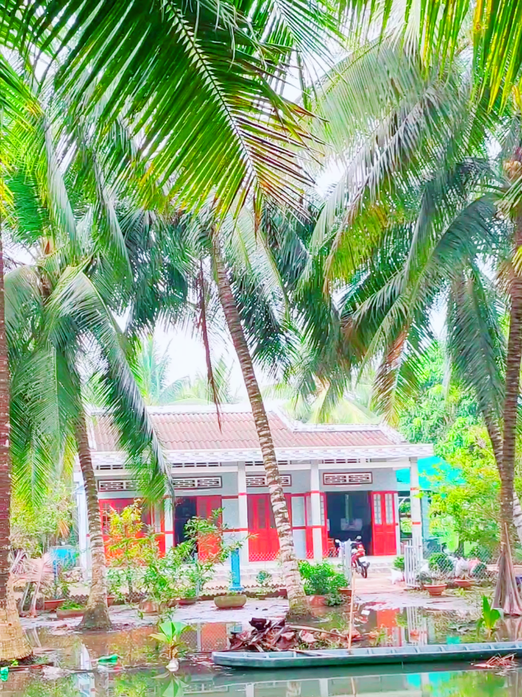 Quê nhà đang ngóng trông con về...#nhachaytiktok #tuoithotoi #xuan #têtdenroi #xuan2025 #canhdepmientay #canhdepvietnam #bentre71🌴🥥 #nhacxuan #quehuongtoi 