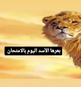 راح بيها#اكسبلورexplore #fypシ #fypシ #fypシ゚viral #اكسبلور #foryou #الشعب_الصيني_ماله_حل #الشعب_الصيني_ماله_حل😂😂 #fypシ #اكسبلورexplore #fyp #ميمز #foryou #اكسبلور #اكسبلورexplore 