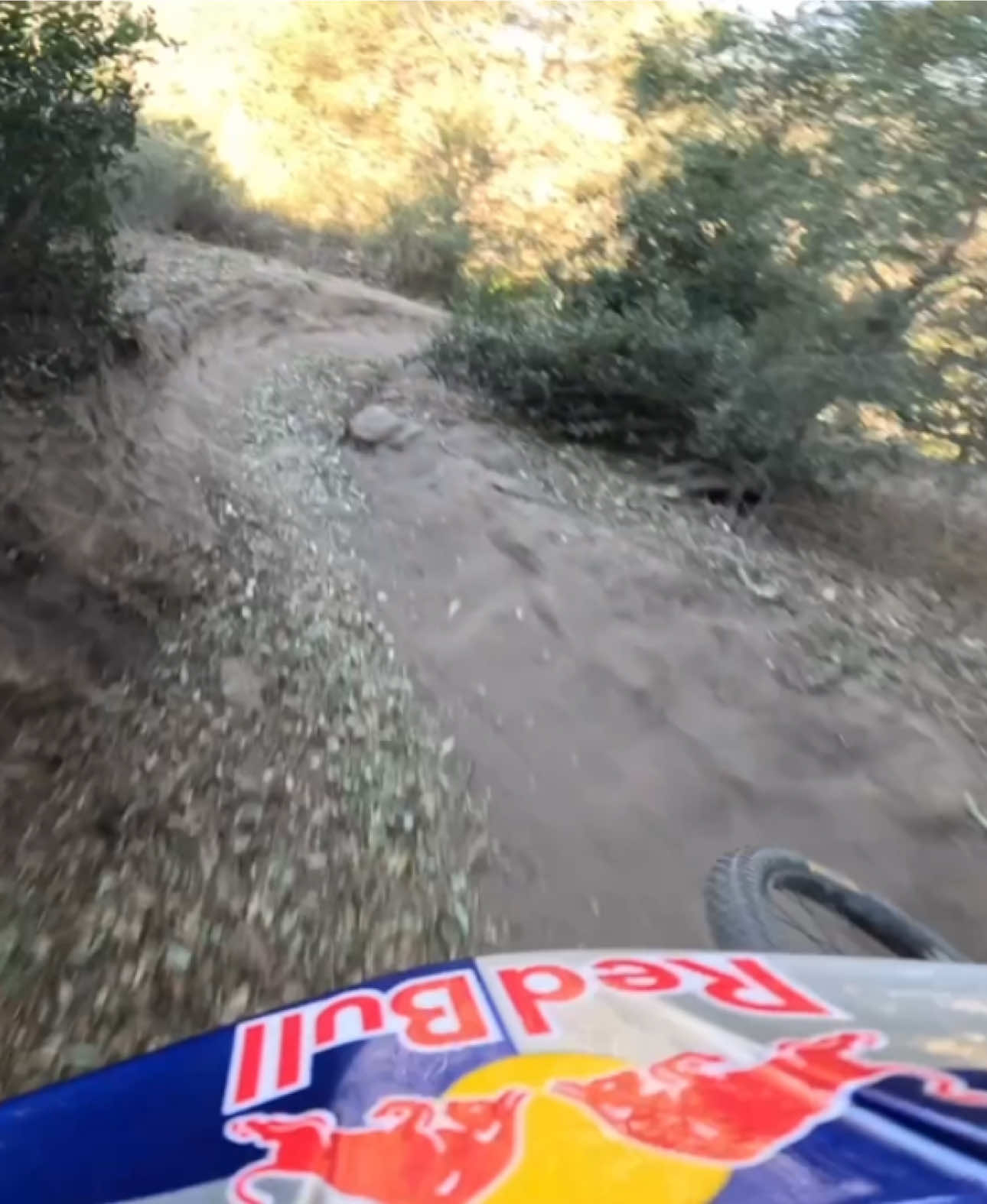 what “ride it like you stole it” looks like 😤🚀 @asavermette #downhillmtb #mountainbiking #mtbtrail 