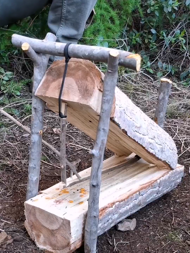 trap #bushcraft #trap #bushcrafting #survival 