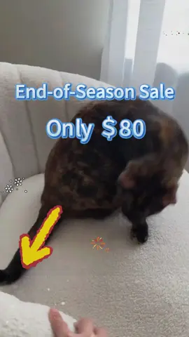 360° of sophistication! The Ebello Swivel Barrel Chair offers plush comfort and effortless rotation, perfect for modern interiors#vanitychair #swivelchair #swivelvanitychair #neutralaesthetic #cozyvibes #cozyathome #CapCut#fyp#tiktokshop 